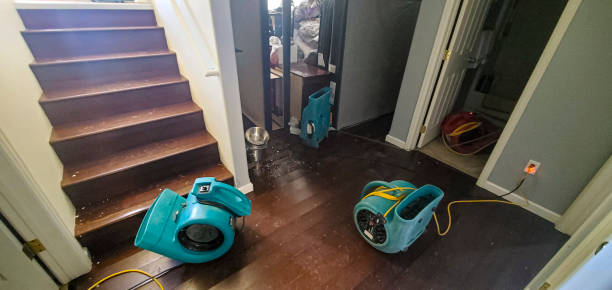 Best Water damage repair service  in Willoughby Hills, OH