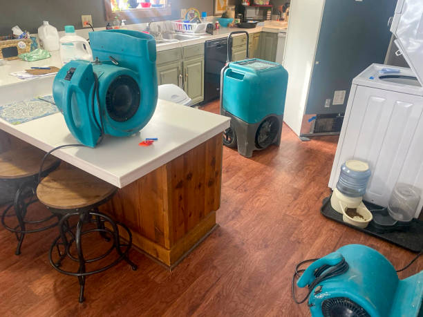 Best Local water damage restoration  in Willoughby Hills, OH