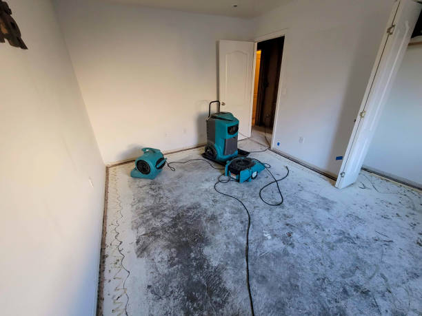 Best Flood damage cleanup  in Willoughby Hills, OH