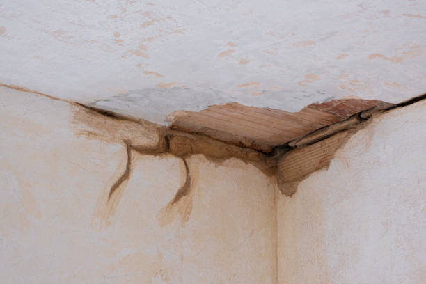 Best Basement water damage restoration  in Willoughby Hills, OH