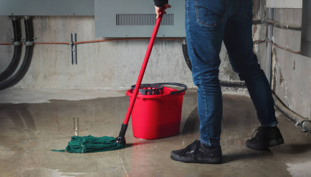 Best Flooded house restoration  in Willoughby Hills, OH