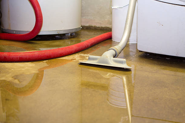 Best Sewage cleanup and water damage restoration  in Willoughby Hills, OH