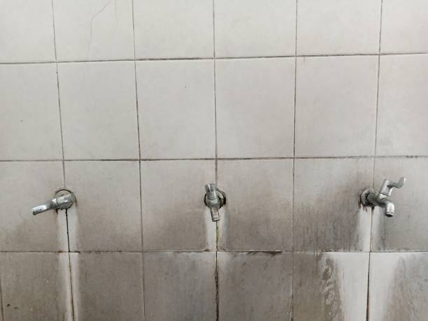 Best 24-hour water damage restoration  in Willoughby Hills, OH