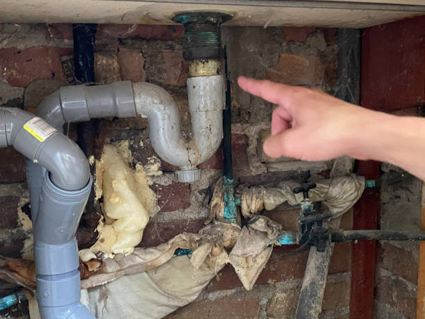Best Carpet water damage restoration  in Willoughby Hills, OH
