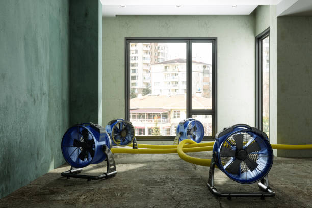 Best Local water damage restoration  in Willoughby Hills, OH