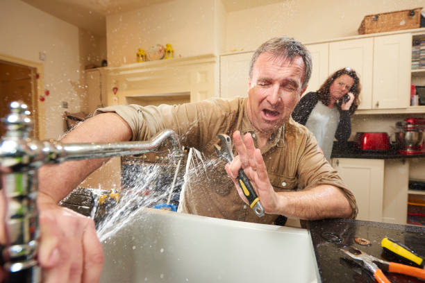 Best Water damage restoration experts  in Willoughby Hills, OH